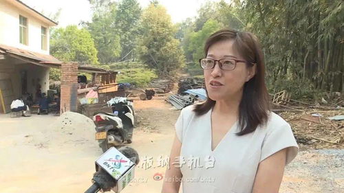 织密民生安全网 在数智时代守好群众